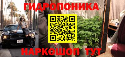 шишки Краснодар