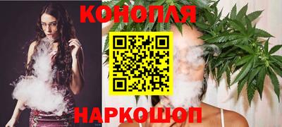 spice Кунгур