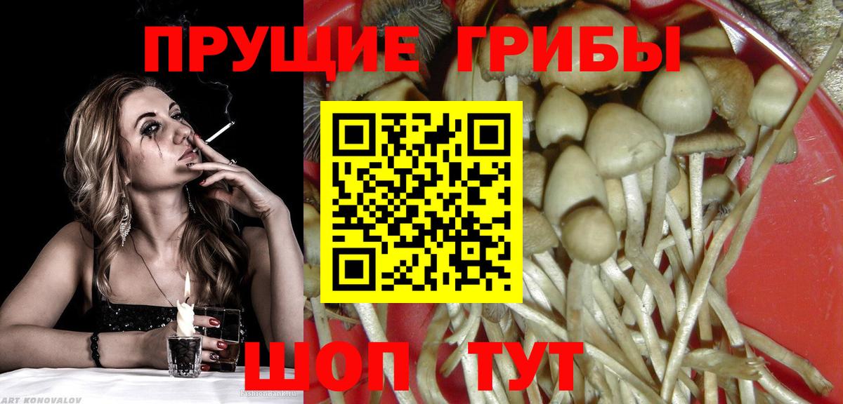 Галлюциногенные грибы Magic Shrooms Знаменск