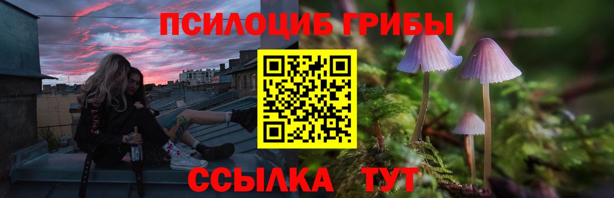 где продают   Галлюциногенные грибы ЛСД  Вход с VPN  Знаменск  Галлюциногенные грибы MAGIC MUSHROOMS 